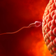 Image for article titled Biggest Misconceptions Men Have About Sexual Reproduction
